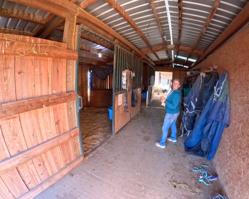 Candice standing next to horse stall and Armored Acres