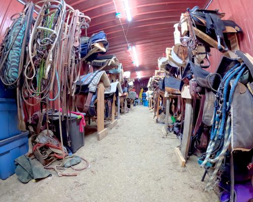 View of Tack area with bridles, saddles, harnesses, and ropes for horses at Armored Acres.