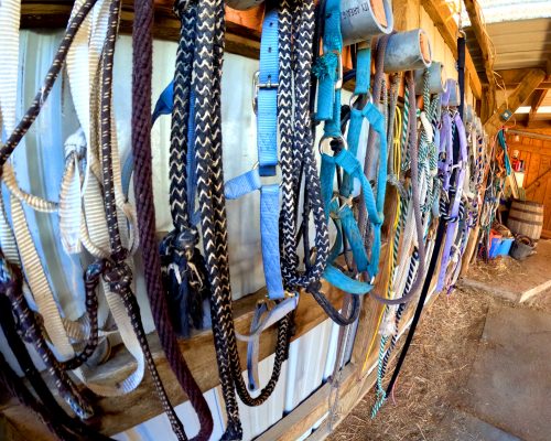 Tack room at Armored Acres with ropes and harnesses hanging on the wall