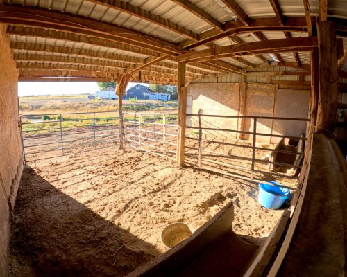 View of individual horse boarding pens at Armored Acres.