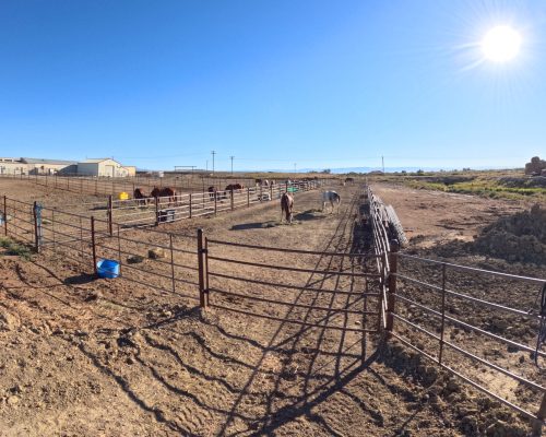 View of several group boarding pens with boarded horses