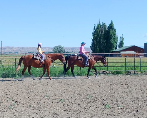 Two horses being ridden in a riding arena at Armored Acres